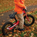 boy-with-a-bike-in-autumn__PS_WEB_SERFAS.jpg